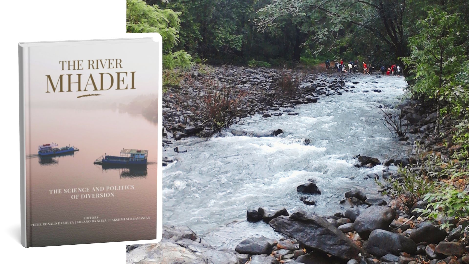 ‘Our rivers, like the Mhadei and the Zuari, are more like streams’