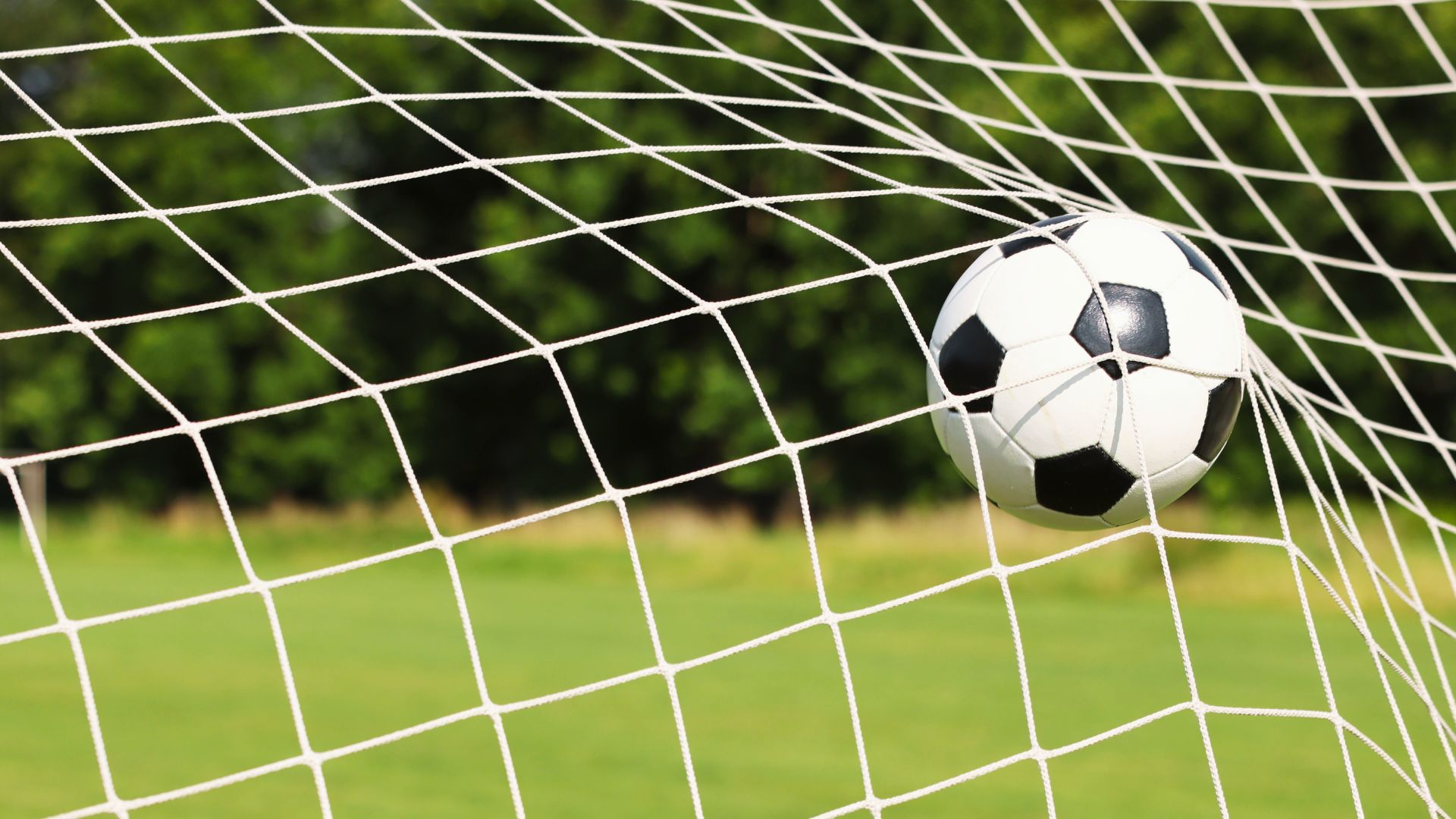 SPORTS SNIPPETS: 24 January 2026