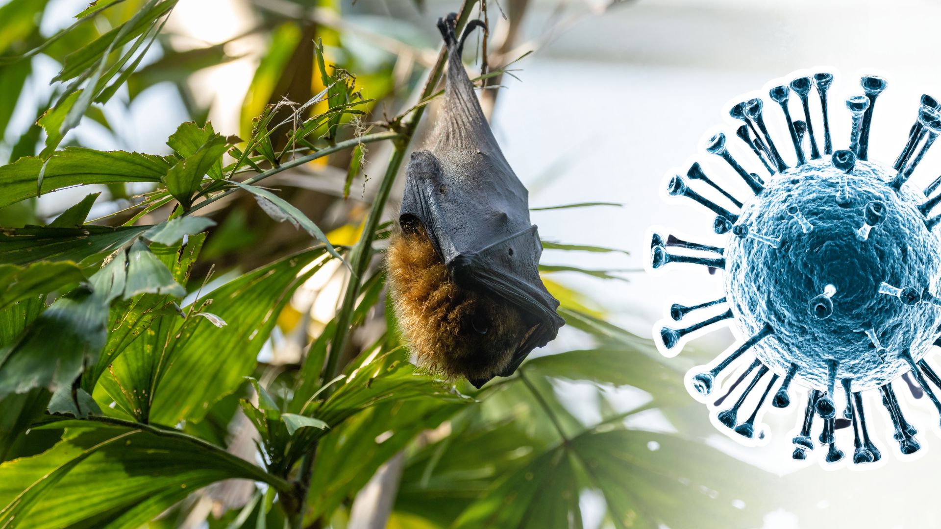 TOP NATIONAL HEADLINES – 29 January 2026