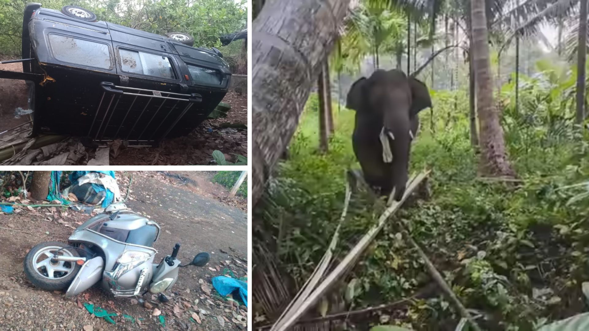 Elephant Omkar causes havoc in Kadshi Mopa, damages vehicles