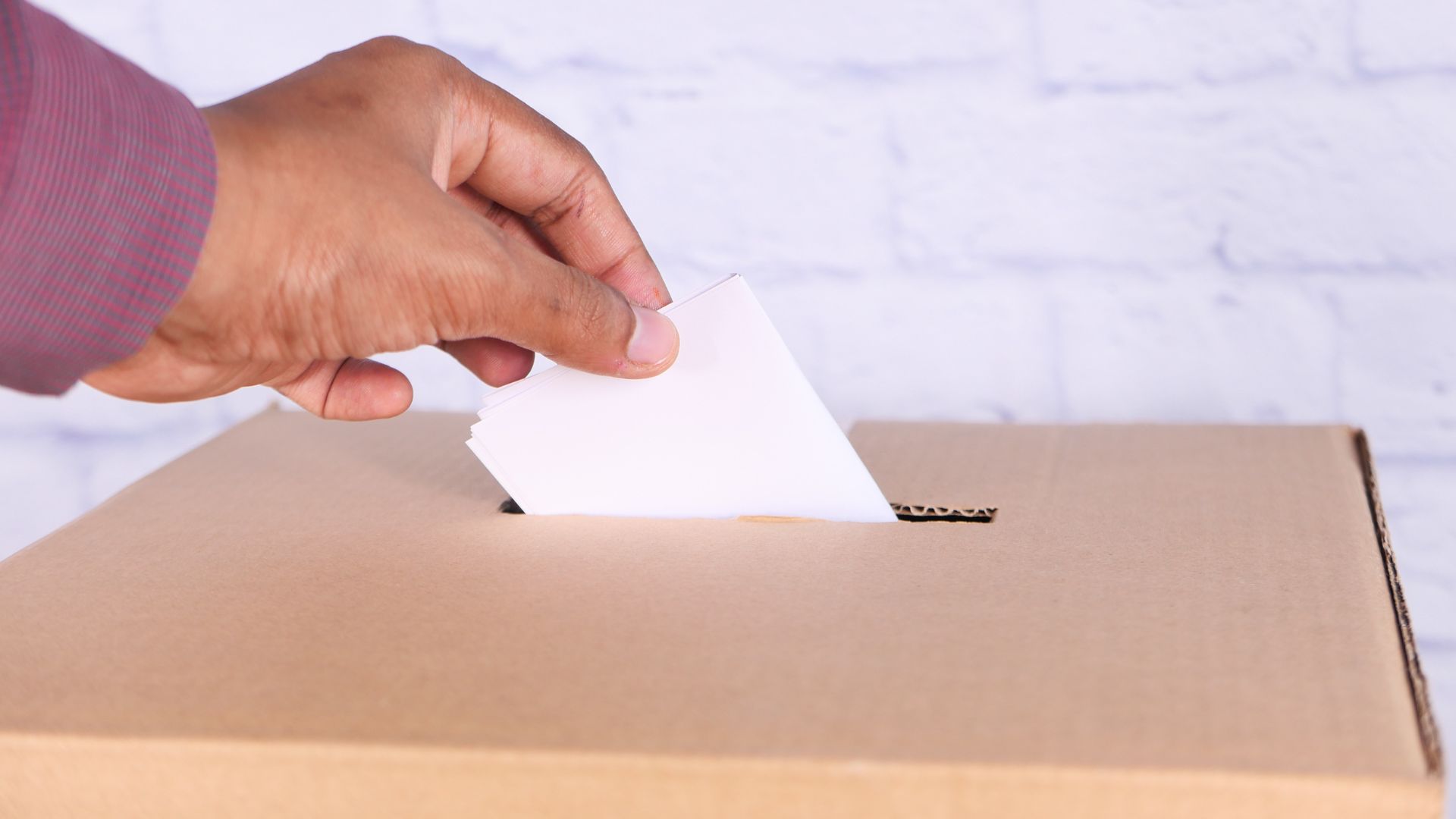 Goa panchayat by-election dates announced