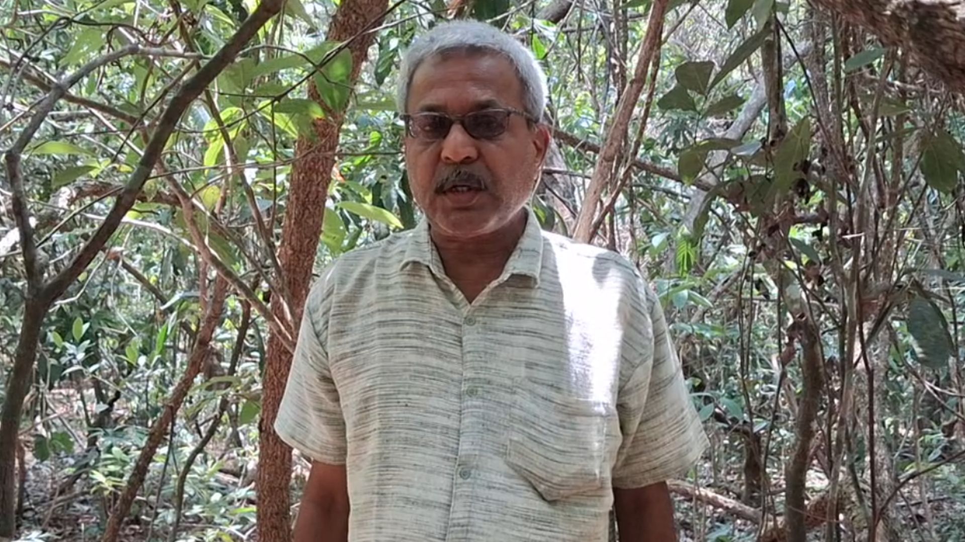 Sixth tiger death reported in Goa Since 2009, says Rajendra Kerkar