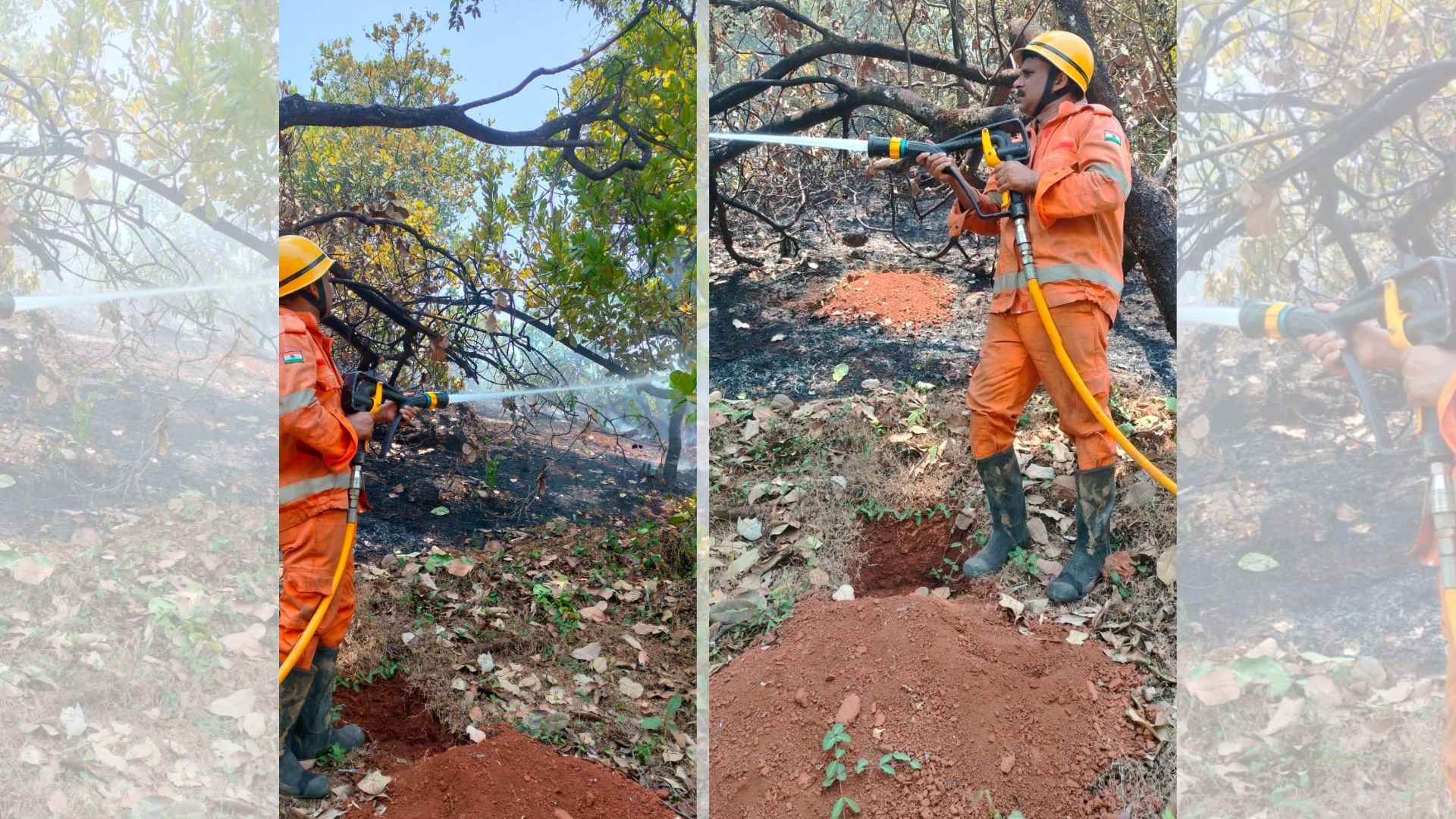 Two cashew plantation fires reported in Sattari