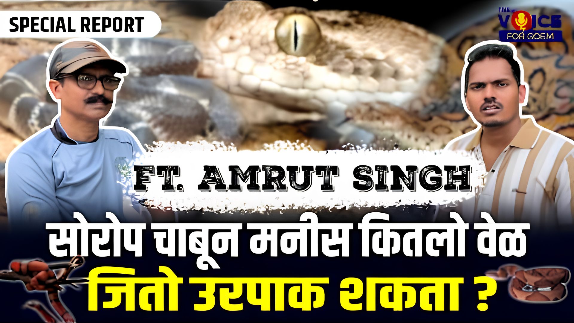 SPECIAL REPORT | सोरोप चाबून मनीस कितलो वेळ जितो उरपाक शकता? | Ft. Amrut Singh