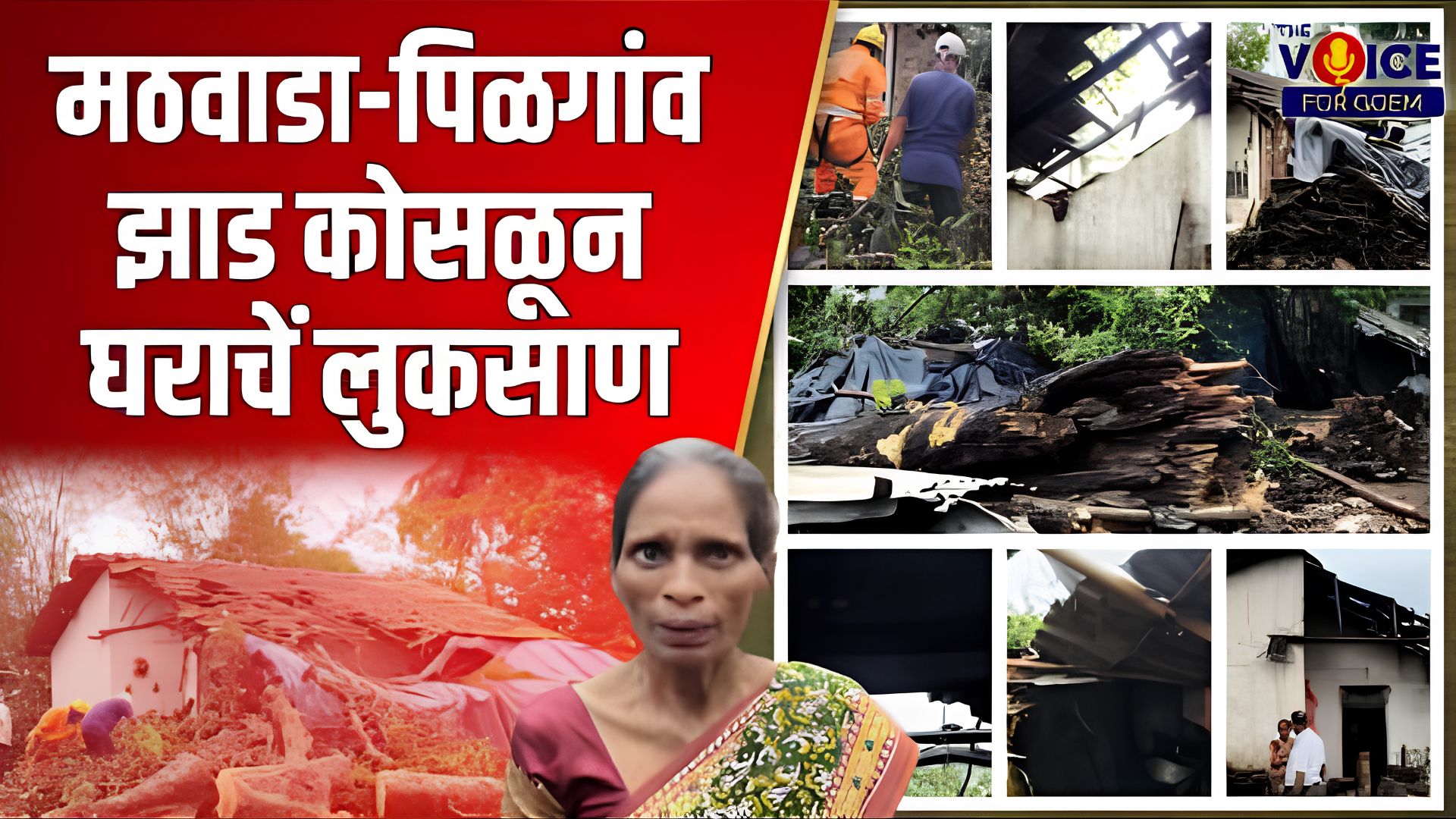 Rain pain: मठवाडा-पिळगांव झाड कोसळून घराचें लुकसाण