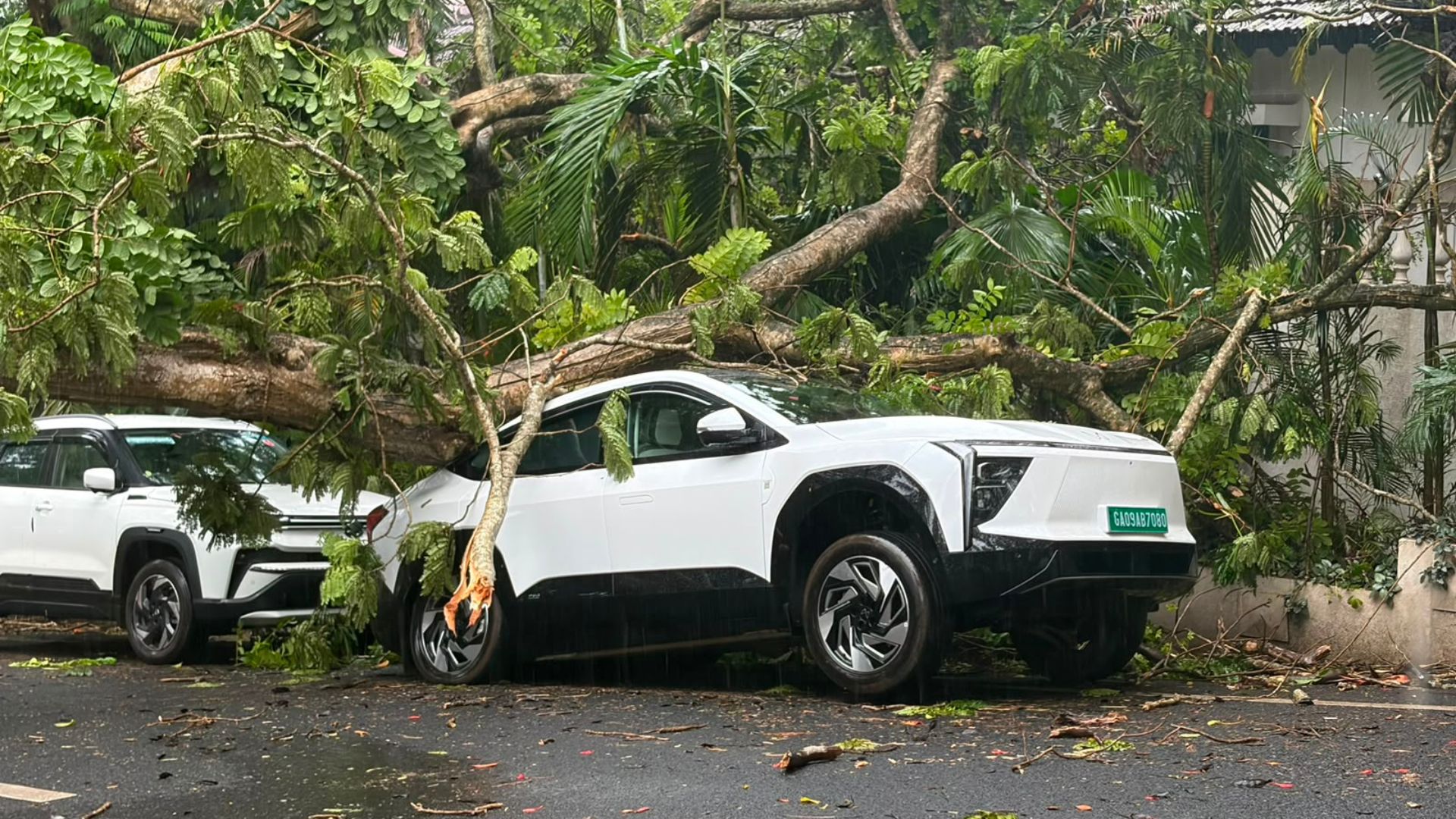 Tree falls on ex-Dy CM Babu Kavlekar's EV in Altinho, Panjim