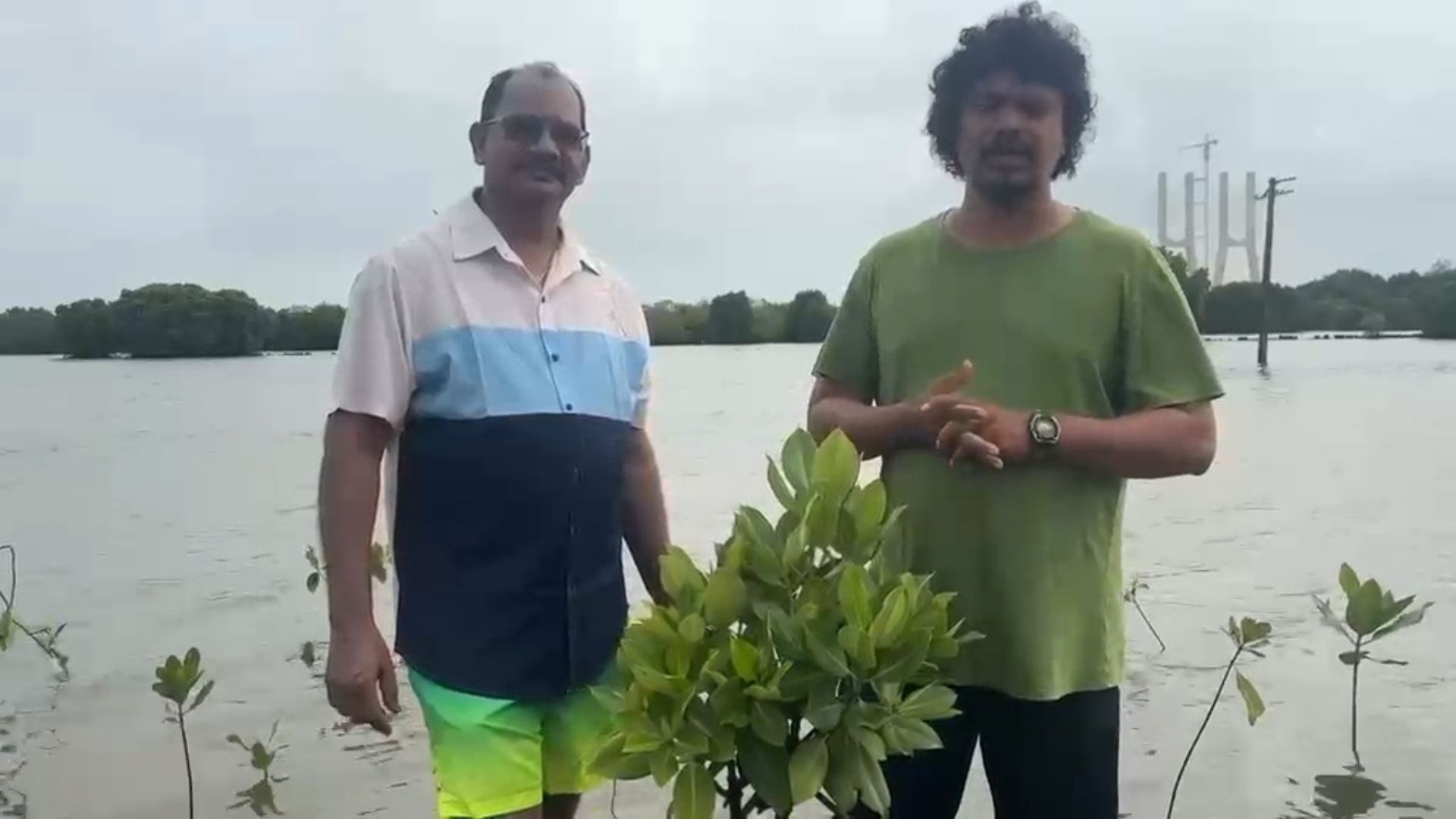 Cortalim mangrove drive sees over 300 saplings planted