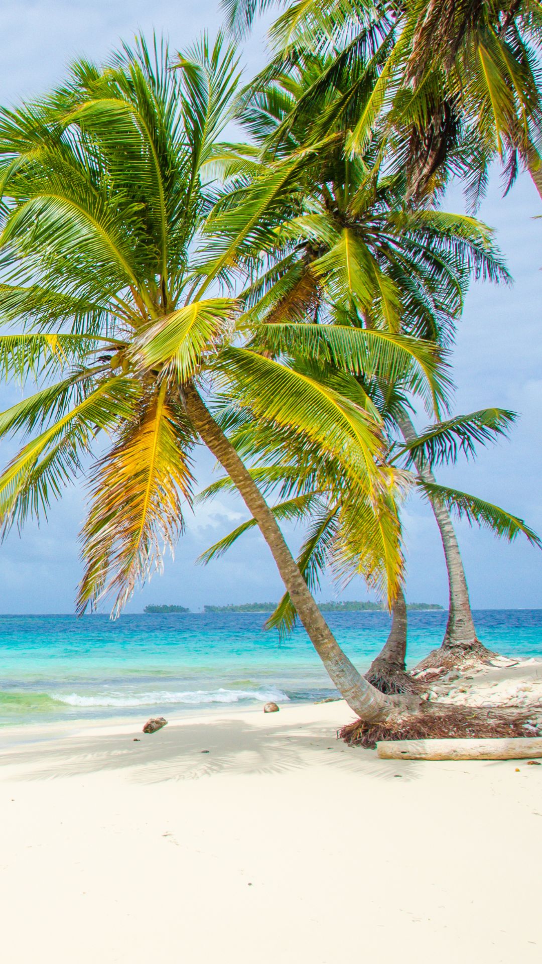 Taking Goan flavours to the next level with coconut