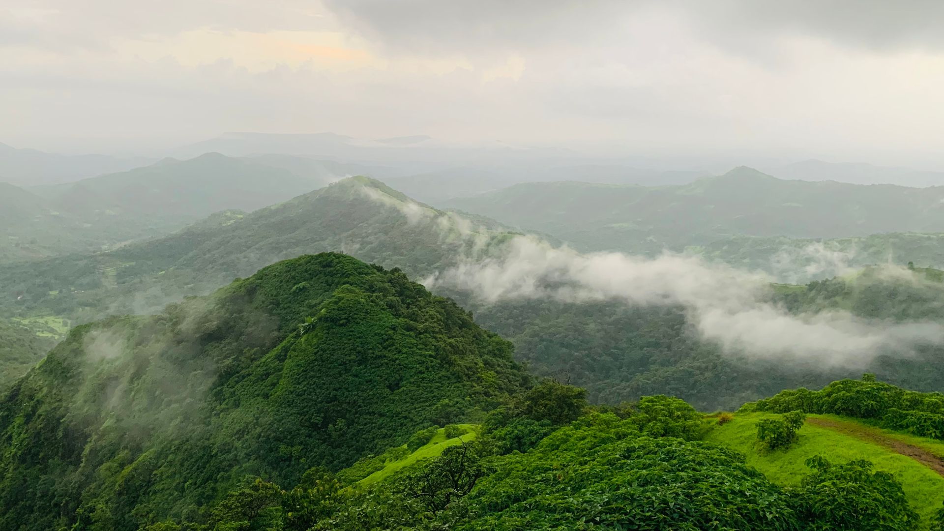 108 Goan villages to get ESA tag