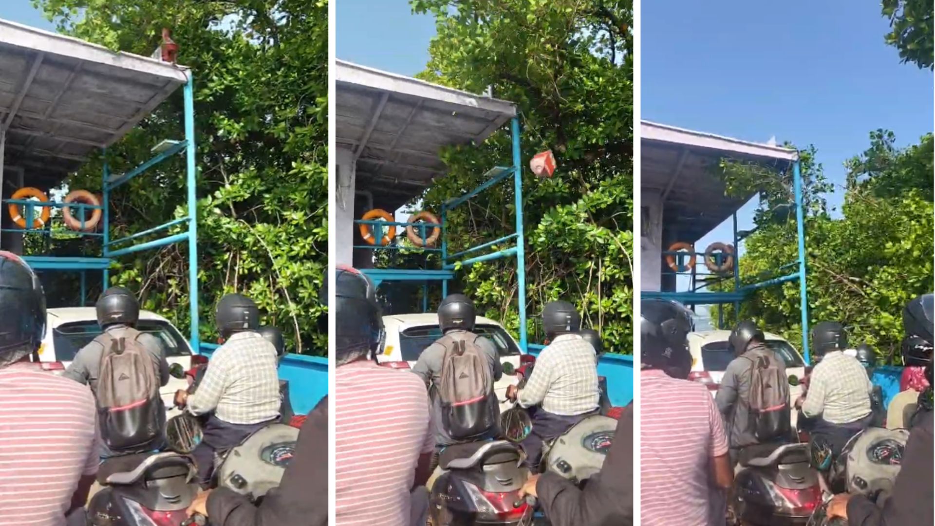 Betim ferry brushes mangroves after alleged turning failure