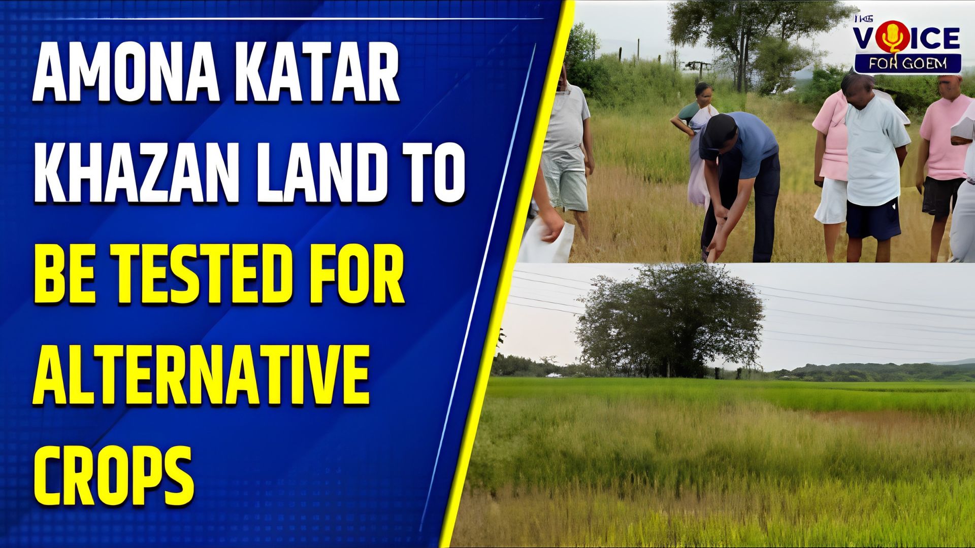 Amona khazan land to be tested for alternative crops