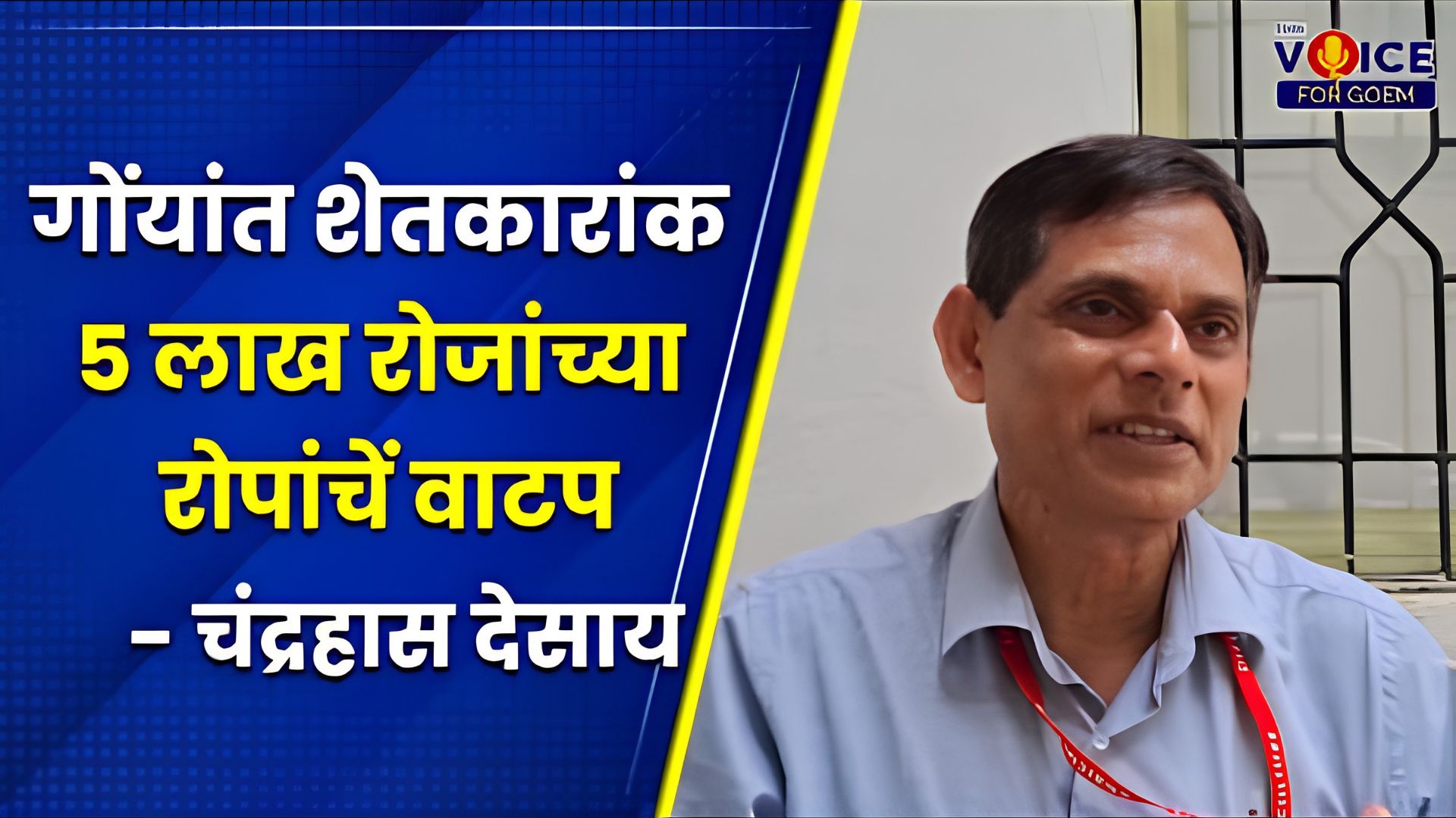 5 Lakh marigold plants distributed to Goa farmers this year