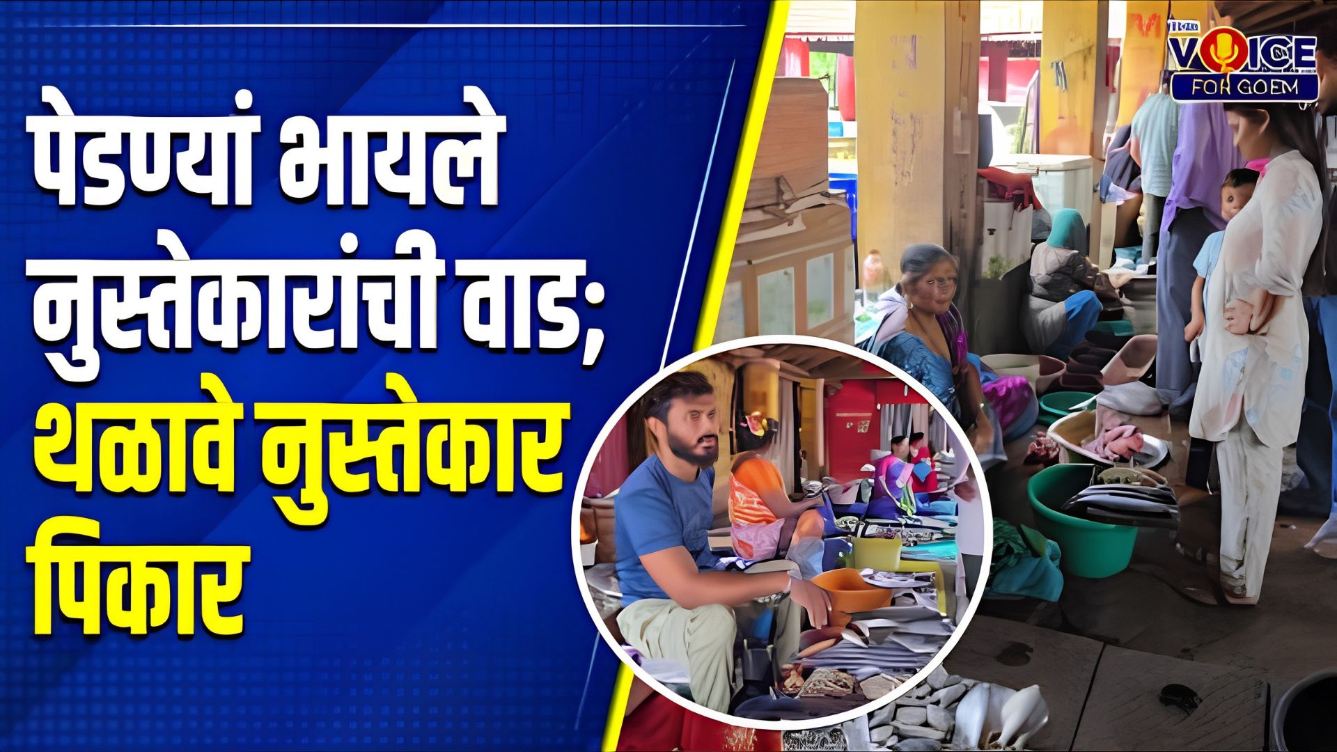 Fishy business: पेडण्यां भायले नुस्तेकारांची वाड; थळावे नुस्तेकार पिकार