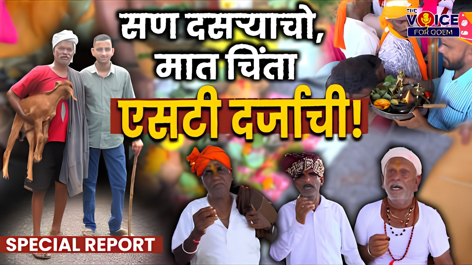 SPECIAL REPORT | सण दसऱ्याचो, मात चिंता एसटी दर्जाची