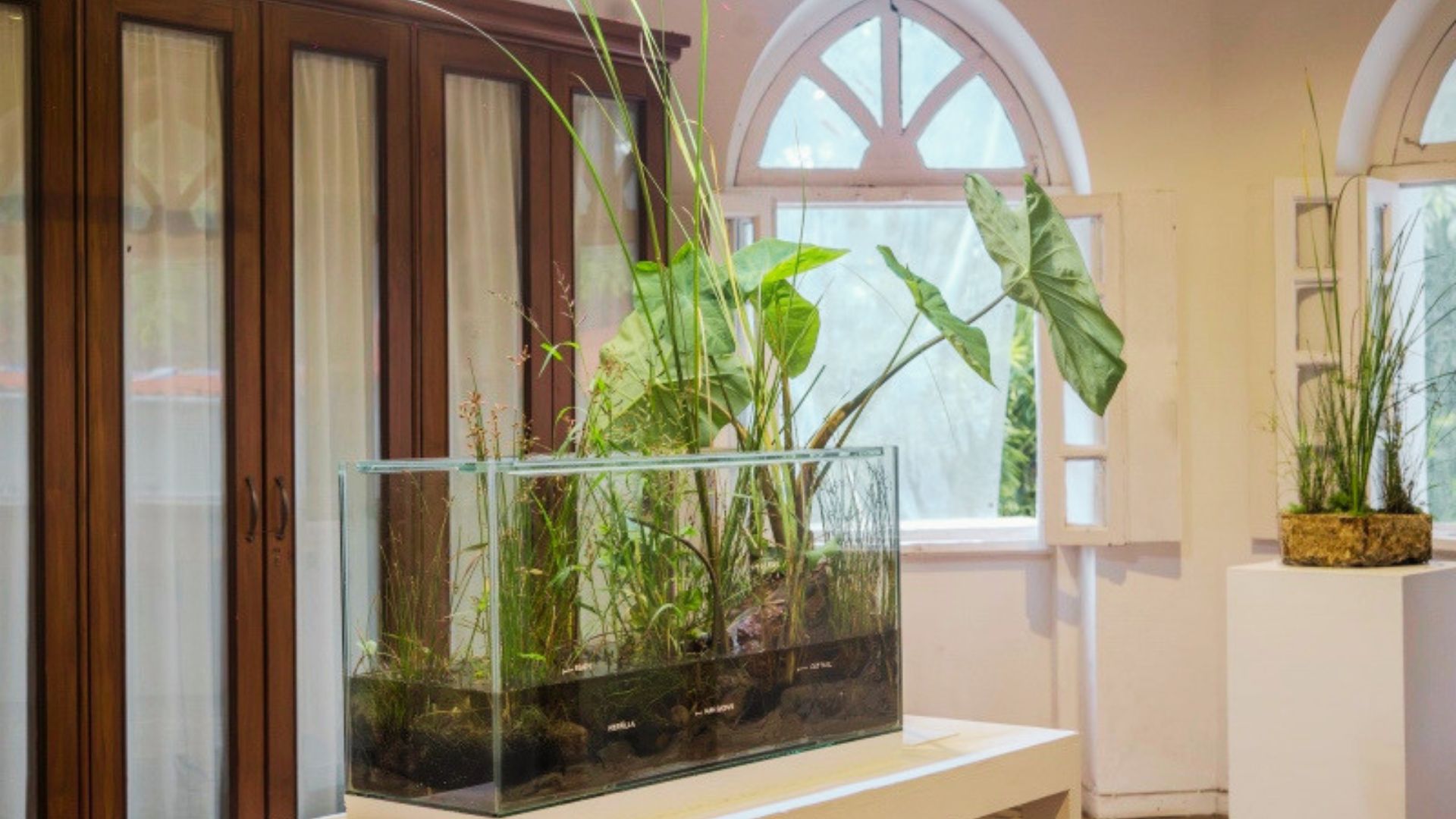 Designing with Nature – An Immersive Science