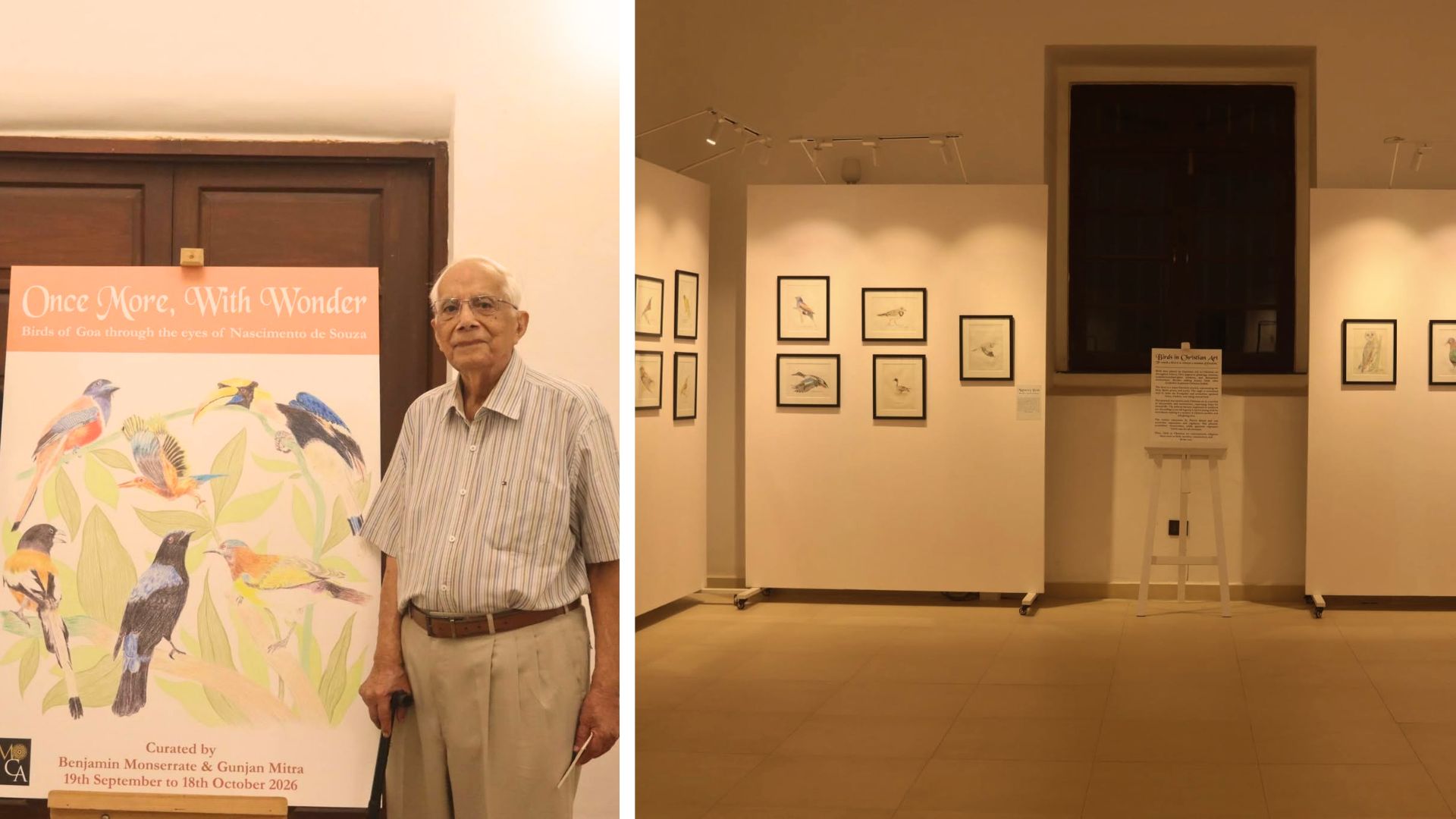 Once More, With Wonder: Birds of Goa through the Eyes of Nascimento de Souza